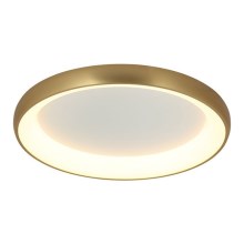 Zambelis 2050 - Dimbare LED Plafondlamp LED/50W/230V diameter 60 cm goud