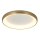 Zambelis 2050 - Dimbare LED Plafondlamp LED/50W/230V diameter 60 cm goud