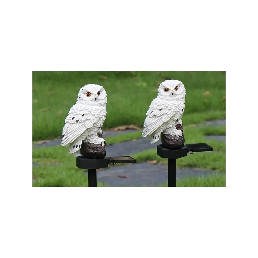 LED zonne-decoratieve lamp met sensor 6xLED/1,2V 3000K 40 cm 600 mAh IP44 uil