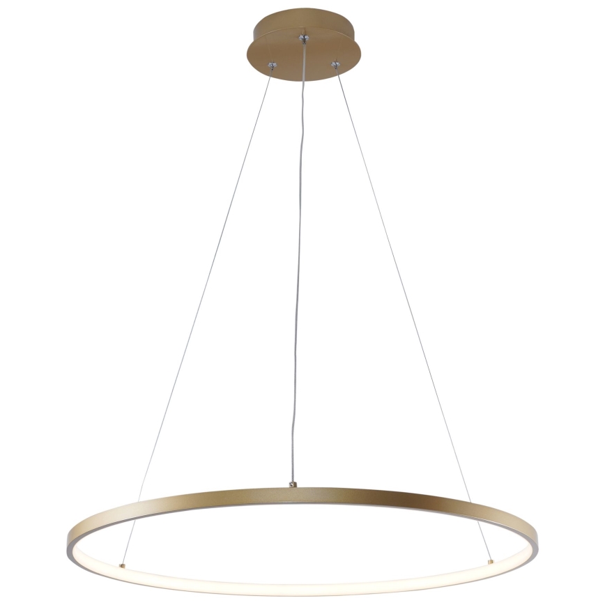 Zuma Line - LED Hanglamp aan een koord LED/28W/230V 3000/4000/6000K diameter 60 cm goud