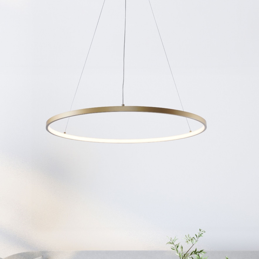 Zuma Line - LED Hanglamp aan een koord LED/36W/230V 3000/4000/6000K diameter 80 cm goud