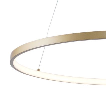 Zuma Line - LED Hanglamp aan een koord LED/36W/230V 3000/4000/6000K diameter 80 cm goud