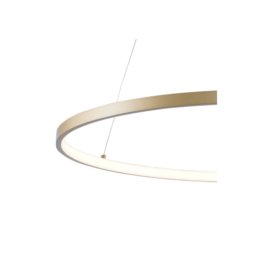 Zuma Line - LED Hanglamp aan een koord LED/36W/230V 3000/4000/6000K diameter 80 cm goud