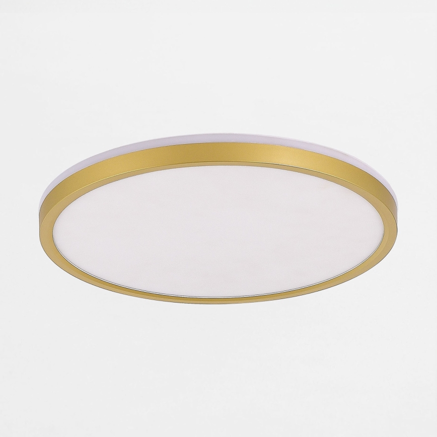 Zuma Line - Dimbare LED Plafondlamp LED/26,5W/230V + LED/6,5W 3000/4000/5500K diameter 32 cm goud