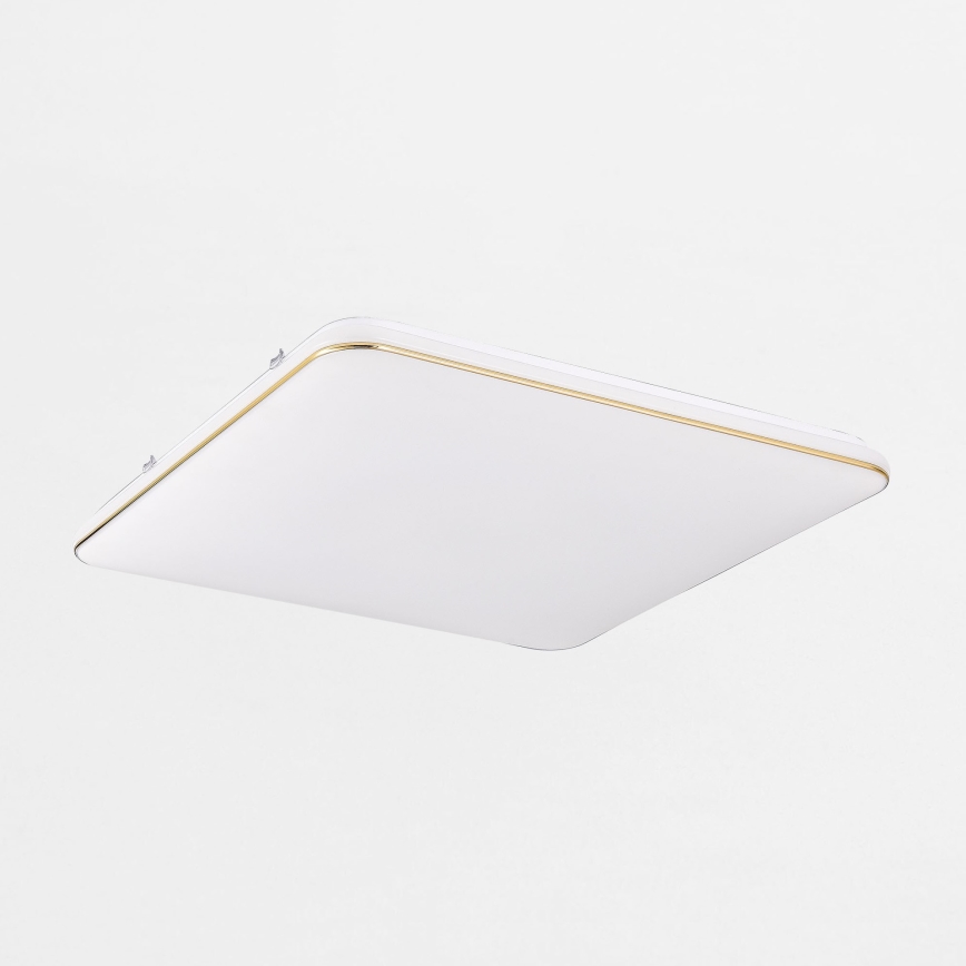 Zuma Line - Dimbare LED plafondlamp LED/48W/230V 53x53 cm goud