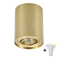 Zuma Line - Dimbare LED RGBW spot 1xGU10/6W/230V goud + afstandsbediening