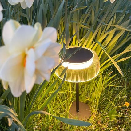 Zuma Line - LED Dimbare Solar Oplaadbare Tafellamp LED/2,5W/2000 mAh IP44 zwart