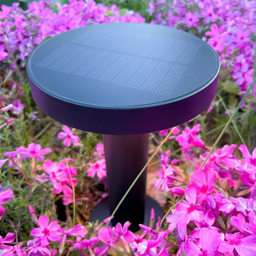 Zuma Line - LED Dimbaar zonne- oplaadbaar tafellamp LED/2W/2000 mAh IP44 zwart