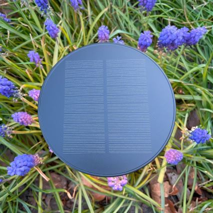 Zuma Line - LED Dimbaar zonne- oplaadbaar tafellamp LED/2W/2000 mAh IP44 zwart