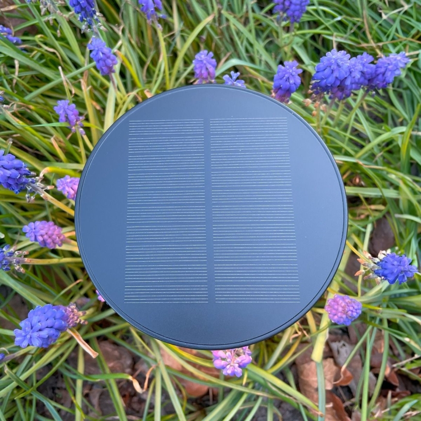 Zuma Line - LED Dimbaar zonne- oplaadbaar tafellamp LED/2W/2000 mAh IP44 zwart