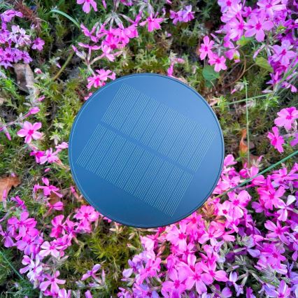 Zuma Line - LED Dimbaar zonne- oplaadbaar tafellamp LED/2W/2000 mAh IP44 zwart