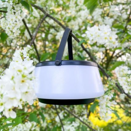 Zuma Line - LED Dimbaar zonne- oplaadbaar tafellamp LED/2,2W/2000 mAh IP44 zwart