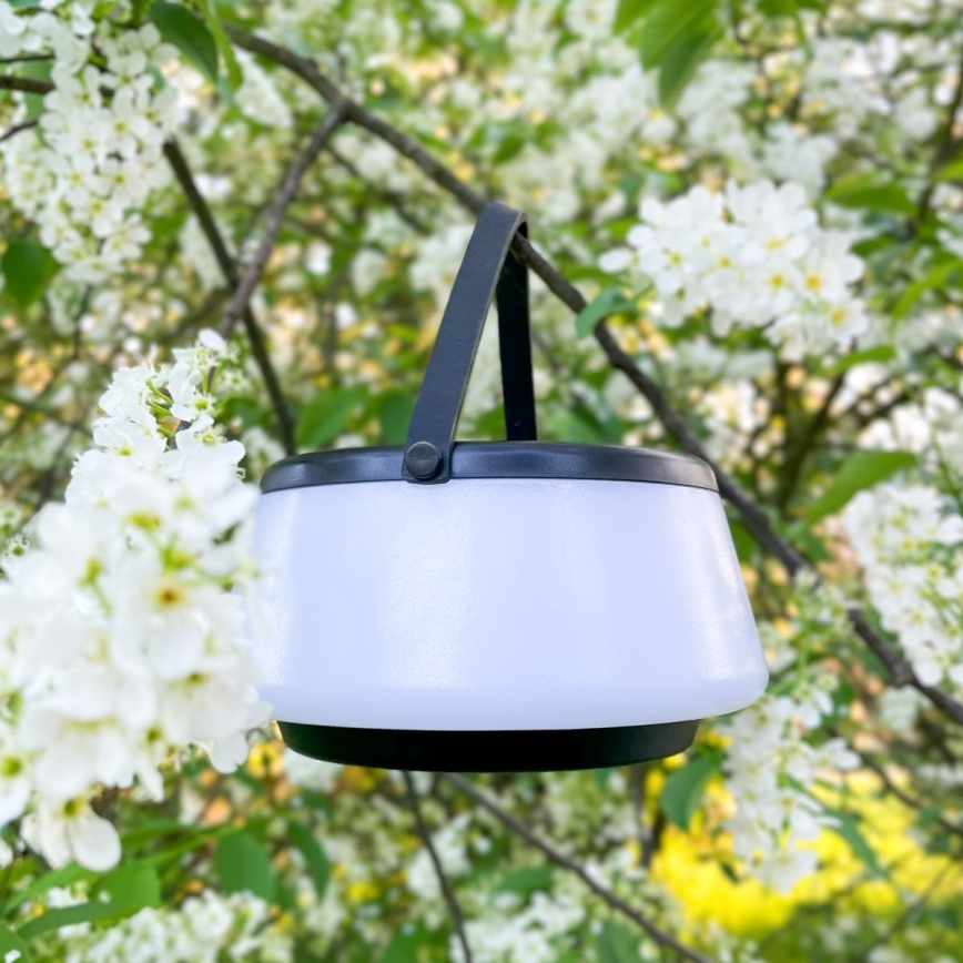 Zuma Line - LED Dimbaar zonne- oplaadbaar tafellamp LED/2,2W/2000 mAh IP44 zwart