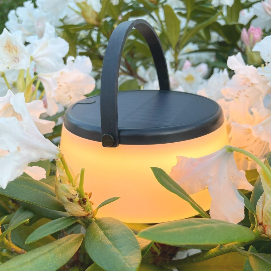 Zuma Line - LED Dimbaar zonne- oplaadbaar tafellamp LED/2,2W/2000 mAh IP44 zwart