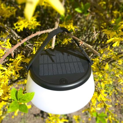 Zuma Line - LED Dimbaar zonne- oplaadbaar tafellamp LED/2,2W/2000 mAh IP44 zwart