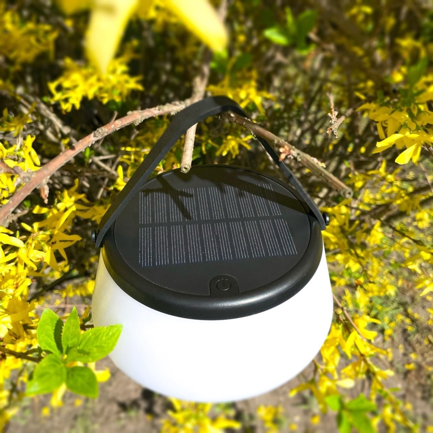 Zuma Line - LED Dimbaar zonne- oplaadbaar tafellamp LED/2,2W/2000 mAh IP44 zwart