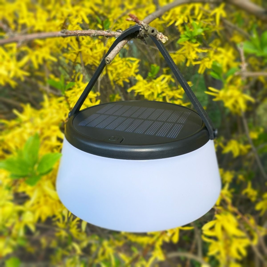 Zuma Line - LED Dimbaar zonne- oplaadbaar tafellamp LED/2,2W/2000 mAh IP44 zwart