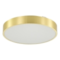 Zuma Line - LED Dimbare badkamer plafondverlichting LED/36W/230V 3000-6000K diameter 40 cm IP44 goud + afstandsbediening