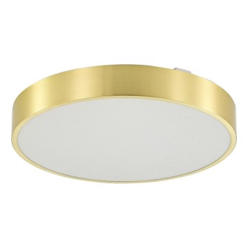 Zuma Line - LED Dimbare badkamer plafondverlichting LED/36W/230V 3000-6000K diameter 40 cm IP44 goud + afstandsbediening
