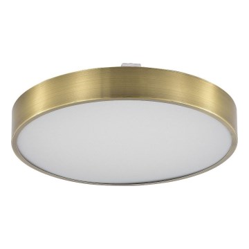 Zuma Line - LED Dimbare badkamer plafondverlichting LED/36W/230V 3000-6000K diameter 40 cm IP44 messing + afstandsbediening