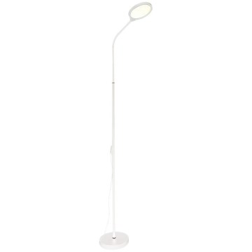 Zuma Line - LED dimbare vloerlamp LED/10W/230V 3000/4500/6500K wit