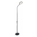 Zuma Line - LED Dimbare Vloerlamp LED/10W/230V 3000/4500/6500K zwart
