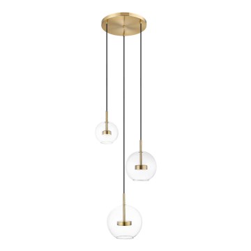 Zuma Line - LED Hanglamp aan een koord 3xLED/5W/230V goud