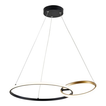 Zuma Line - LED Hanglamp aan een koord LED/36W/230V 3000/4000/6000K goud