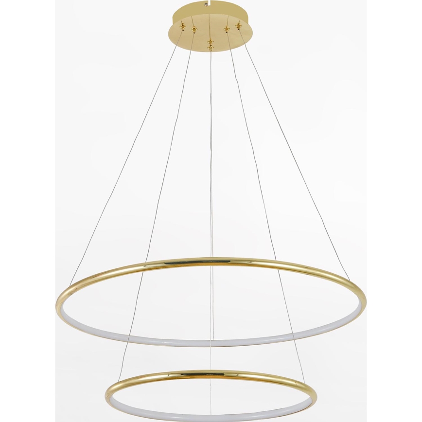 Zuma Line - LED Hanglamp aan een koord LED/40W/230V goud