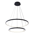 Zuma Line - LED Hanglamp aan een koord LED/50W/230V 3000/4000/6000K diameter 60 cm zwart