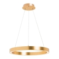 Zuma Line - LED-kroonluchter aan kabel LED/30W/230V 40 cm goudkleurig