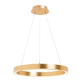 Zuma Line - LED-kroonluchter aan kabel LED/40W/230V Ø 50 cm goud