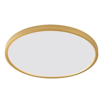 Zuma Line - LED plafondlamp CAMI LED/36W/230V 3000/4000/6000K Ø 40 cm goudkleurig
