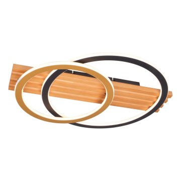 Zuma Line - LED plafondlamp LED/40W/230V