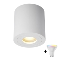 Zuma Line - LED RGBW dimbare badkamerspot 1xGU10/4,8W/230V IP44 wit + afstandsbediening