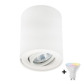 Zuma Line - LED RGBW dimbare spot 1xGU10/4,8W/230V wit + afstandsbediening