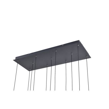Zuma Line - LED hanglamp met kabel 11xLED/3W/230V zwart