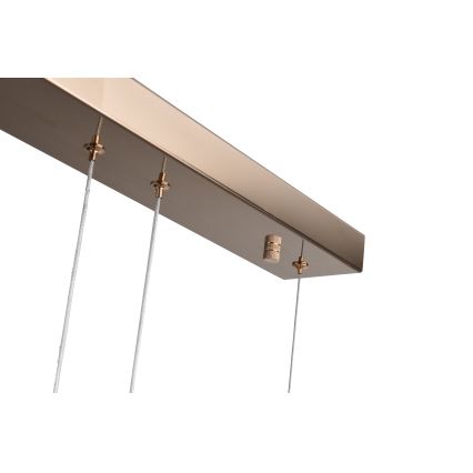 Zuma Line - LED-kroonluchter aan kabel LED/36W/230V roségoud