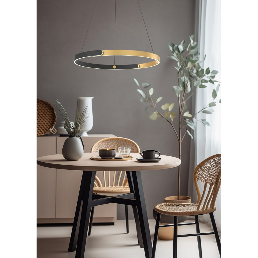 Zuma Line - Dimbare LED hanglamp aan een koord LED/30W/230V zwart/goud