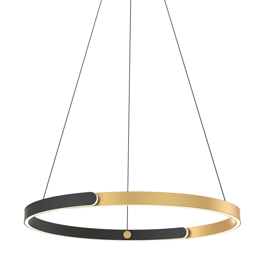 Zuma Line - Dimbare LED hanglamp aan een koord LED/30W/230V zwart/goud