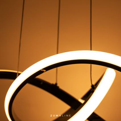 Zuma Line - Dimbare LED hanglamp aan een koord LED/44W/230V zwart/goud