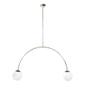 Zuma Line - Pendellamp met kabel 2xE14/10W/230V goudkleurig