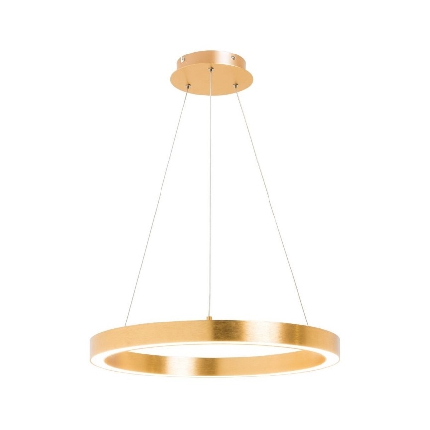 Zuma Line - LED Hanglamp aan een koord 1xLED/30W/230V 40 cm goud