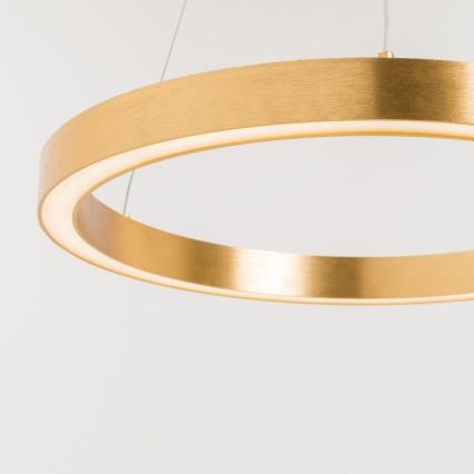 Zuma Line - LED Hanglamp aan een koord 1xLED/30W/230V 40 cm goud