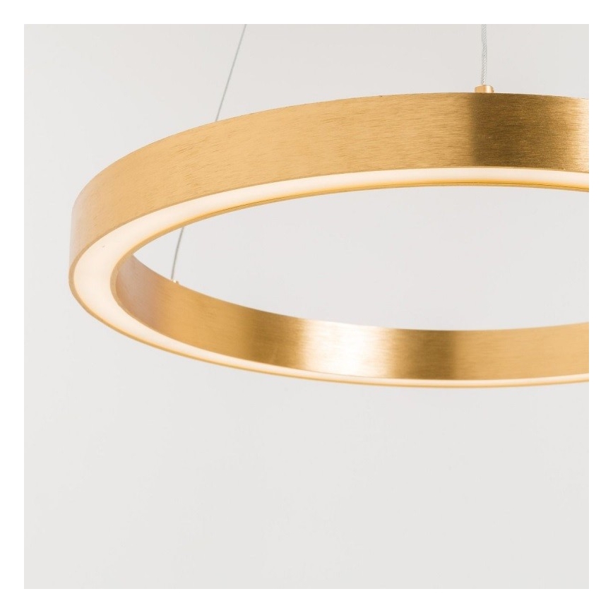 Zuma Line - LED Hanglamp aan een koord 1xLED/30W/230V 40 cm goud