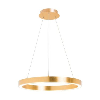 Zuma Line - LED Hanglamp aan een koord 1xLED/40W/230V 60 cm goud