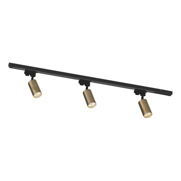 Zuma Line - Spotlicht in geleidingsysteem 3xGU10/35W/230V zwart/goud