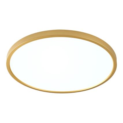 Zuma Line - LED plafondlamp CAMI LED/36W/230V 3000/4000/6000K Ø 40 cm goudkleurig
